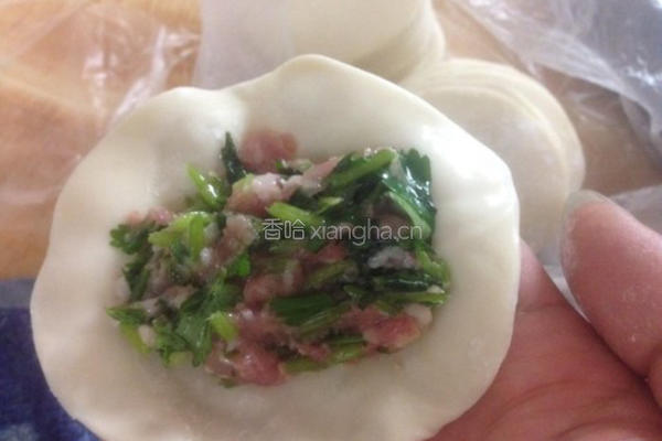 香菜饺子的做法图解8
