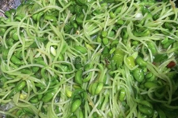 炒绿豆芽的做法图解4