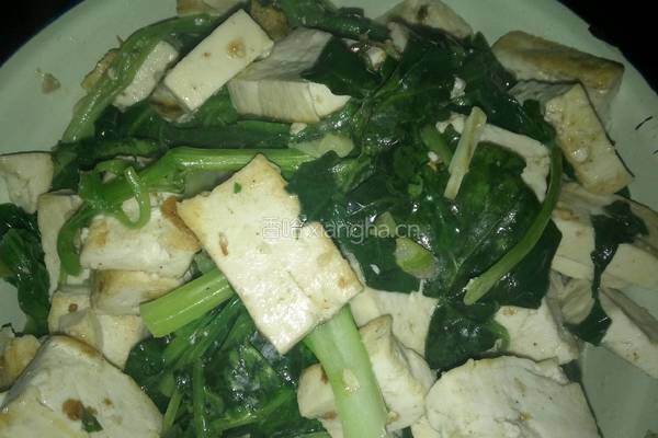 菠菜豆腐菜