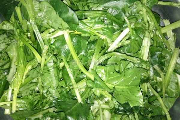 菠菜豆腐菜的做法图解2