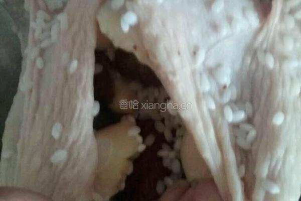 韩国参鸡汤的做法图解4