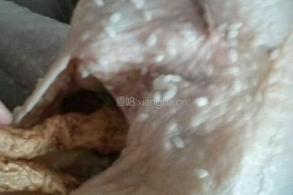 韩国参鸡汤的做法图解5