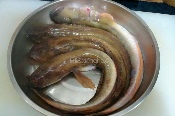 红烧沙光鱼的做法图解1