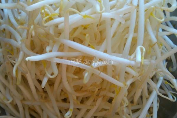 凉拌豆芽的做法图解1