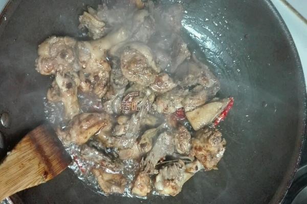 红酒烧鸭肉的做法图解5