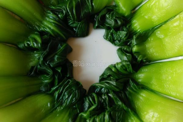 虾仁油菜拌粉丝的做法图解6