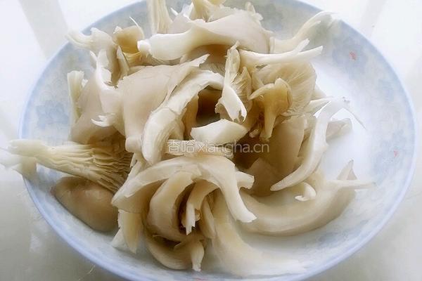 平菇瘦肉汤的做法图解3