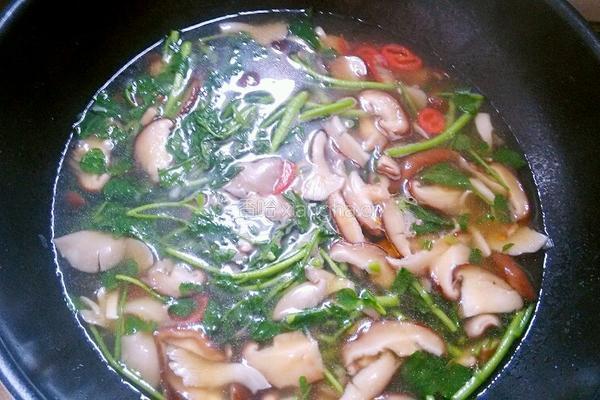 西洋菜香菇汤的做法图解9