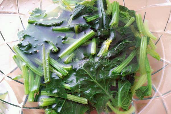 菠菜拌粉丝的做法图解2