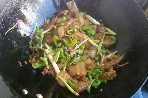 苕皮回锅肉的做法图解10