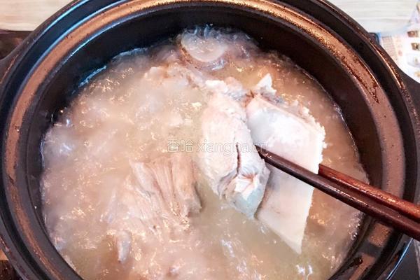 猪骨枸杞汤的做法图解4
