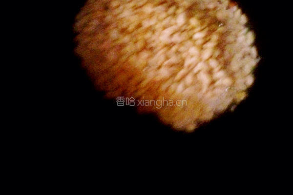 金玉满堂的做法图解1