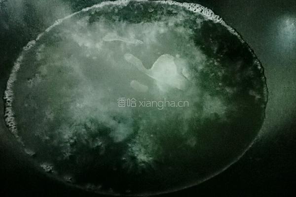 盐水菜心的做法图解2