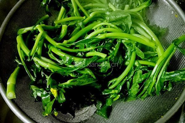 盐水菜心的做法图解4