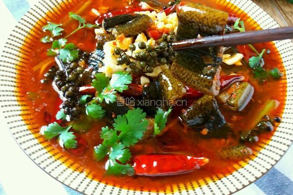水煮鳝片的做法图解16