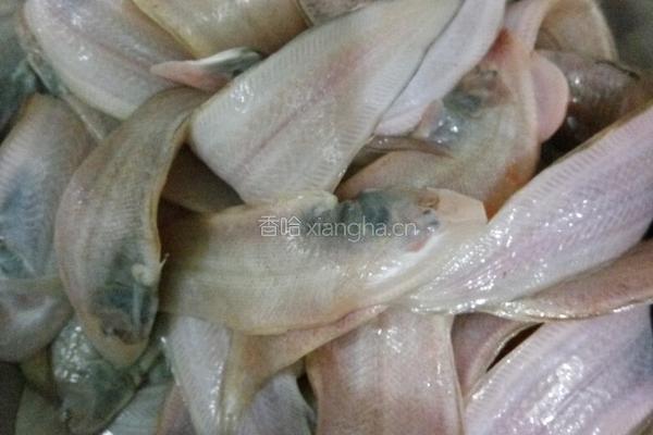 炖丰板鱼的做法图解1