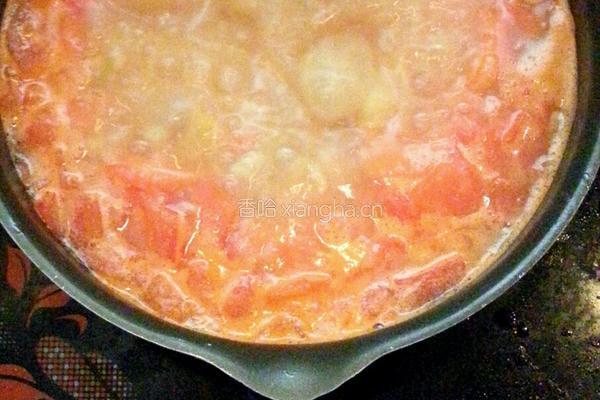 番茄土豆排骨汤的做法图解5