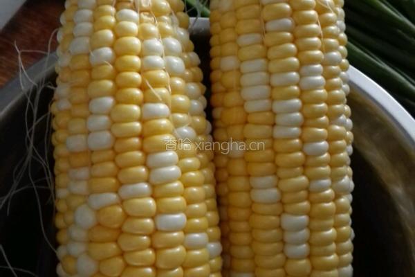 烤玉米的做法图解1