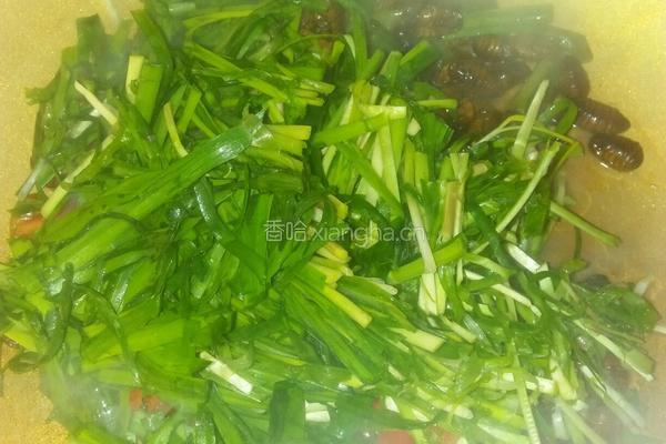韭菜炒蚕蛹的做法图解4