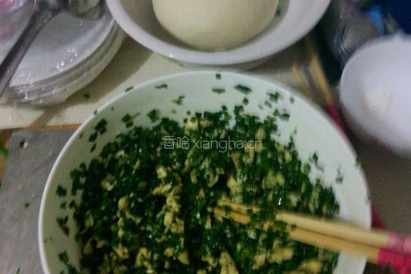 韭菜鸡蛋饺子的做法图解3