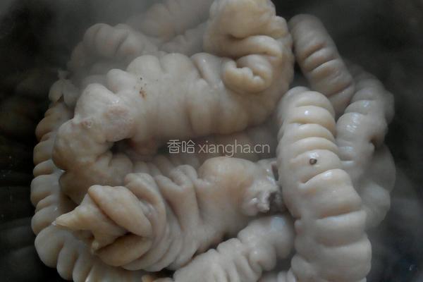子蒜酸菜烧肥肠的做法图解3