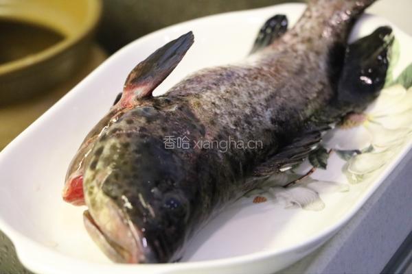 清蒸芝麻斑的做法图解1