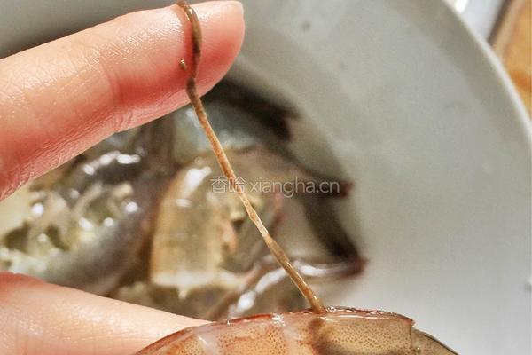 水蟹鲜虾干贝海参砂锅粥的做法图解4