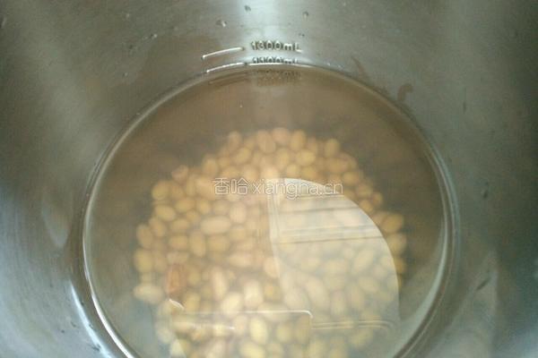 花生豆浆的做法图解3