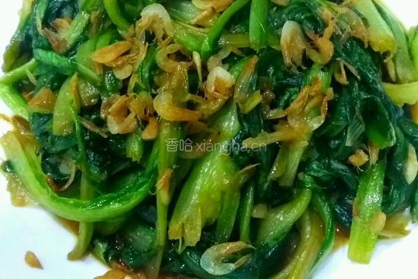 虾仁油麦菜
