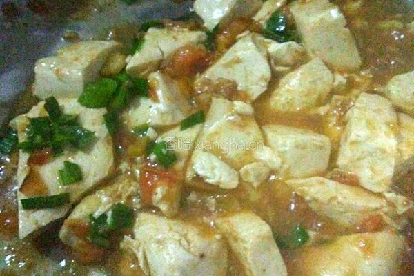 番茄豆腐的做法图解10
