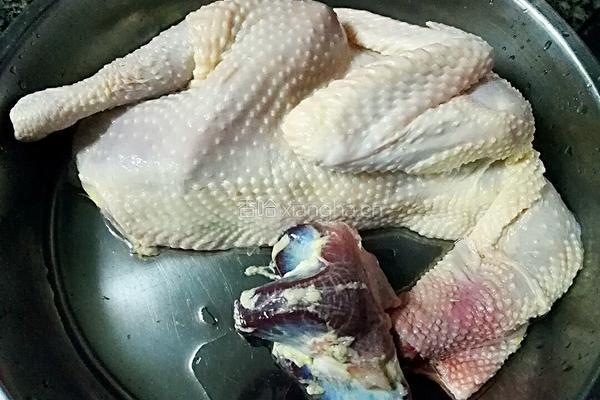 姜葱鸡的做法图解1
