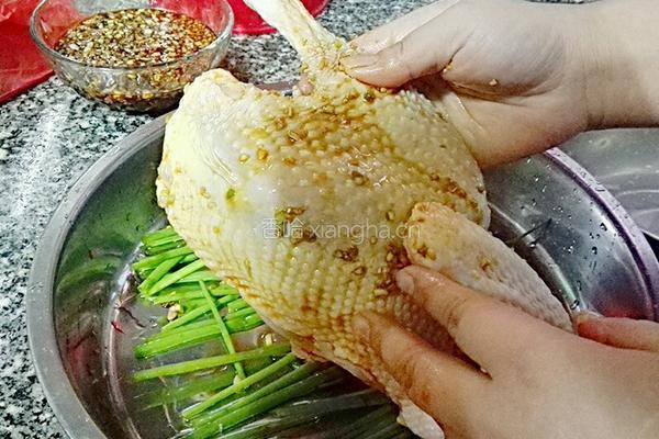 姜葱鸡的做法图解5