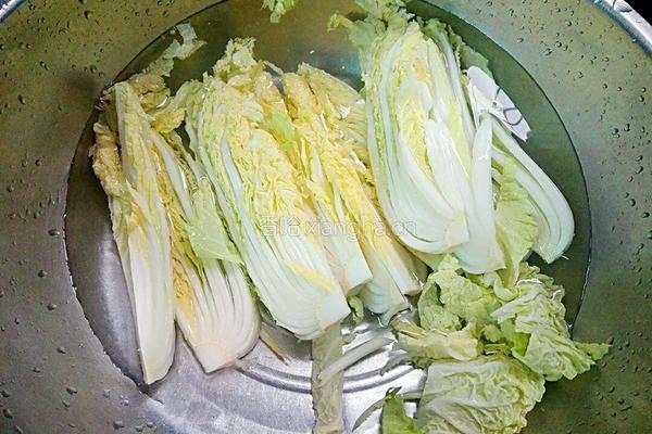 新年聚白菜(百财)的做法图解8