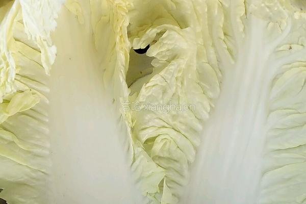 蒸芹菜叶的做法图解4