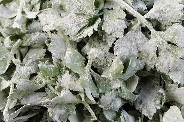 蒸芹菜叶的做法图解5