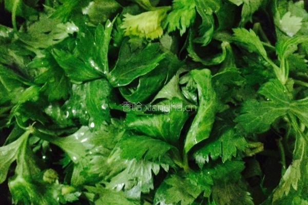 芹菜叶咸菜。的做法图解1