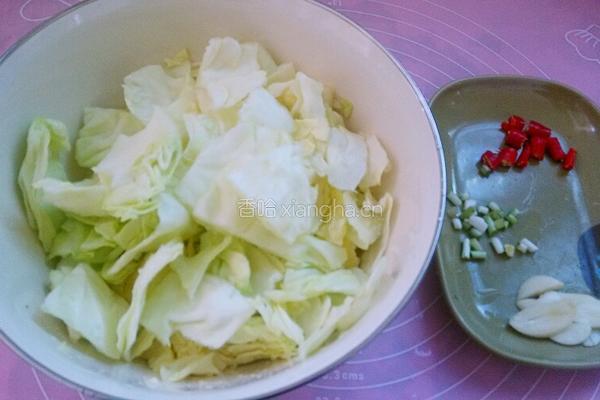 酸辣包菜的做法图解2