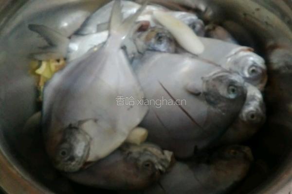 家常烧鲳鱼的做法图解1