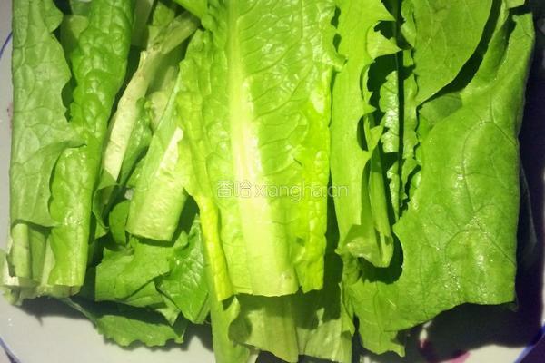 家庭版水煮肉片的做法图解5