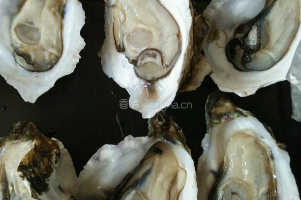 烤生蚝的做法图解3
