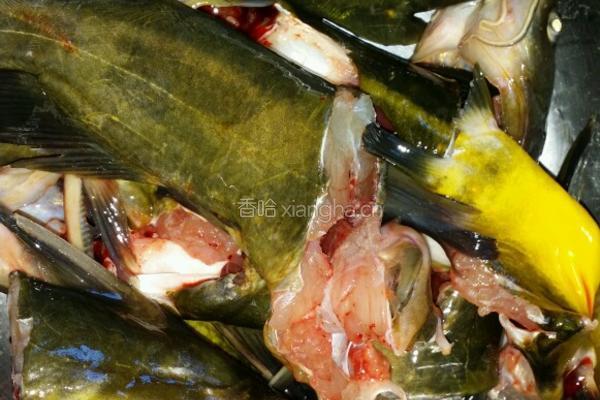 湘味，黄丁鱼豆腐汤的做法图解1