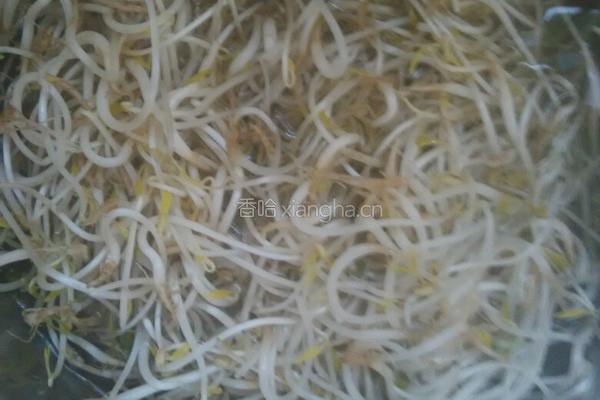 肉丝炒绿豆芽的做法图解1