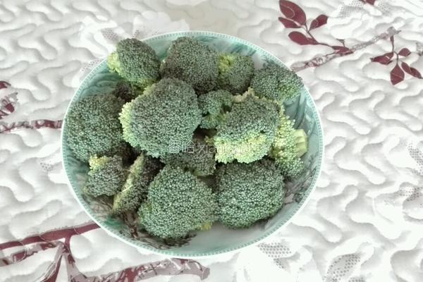 春暖花开的做法图解2