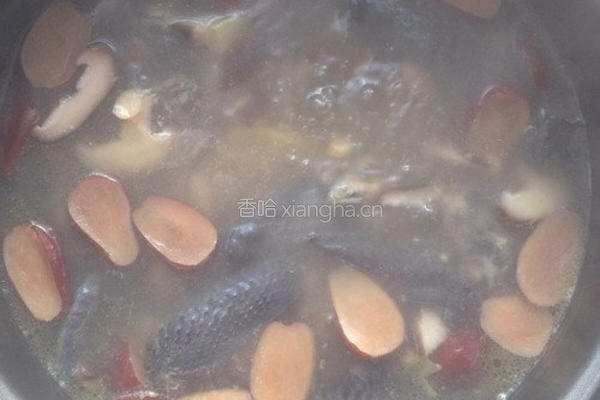 黄芪春笋乌鸡汤的做法图解6