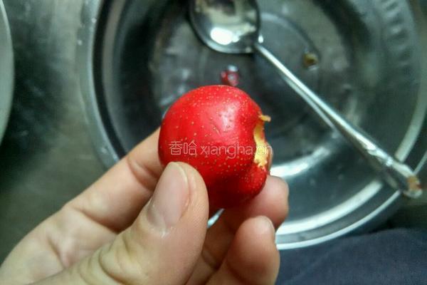 山楂糕的做法图解2