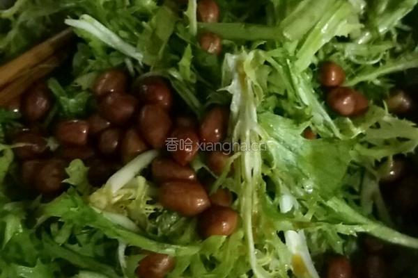 凉拌苦掬的做法图解5