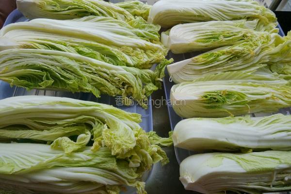 湖北酸菜的做法图解1