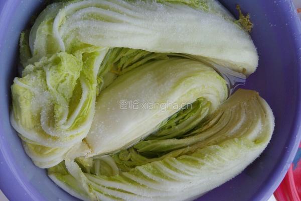 湖北酸菜的做法图解5