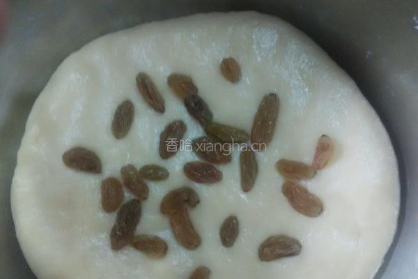 葡萄司康（发酵版）的做法图解11