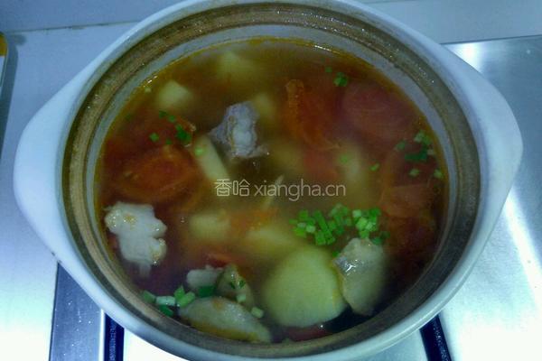 番茄土豆牛肉汤的做法图解8